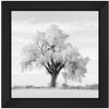 Lone Oak Tree Black White  by Final Touches