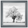 Lone Oak Tree Black White  by Final Touches