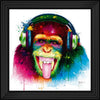 Dj Monkey  by Final Touches