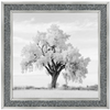 Lone Oak Tree Black White  by Final Touches