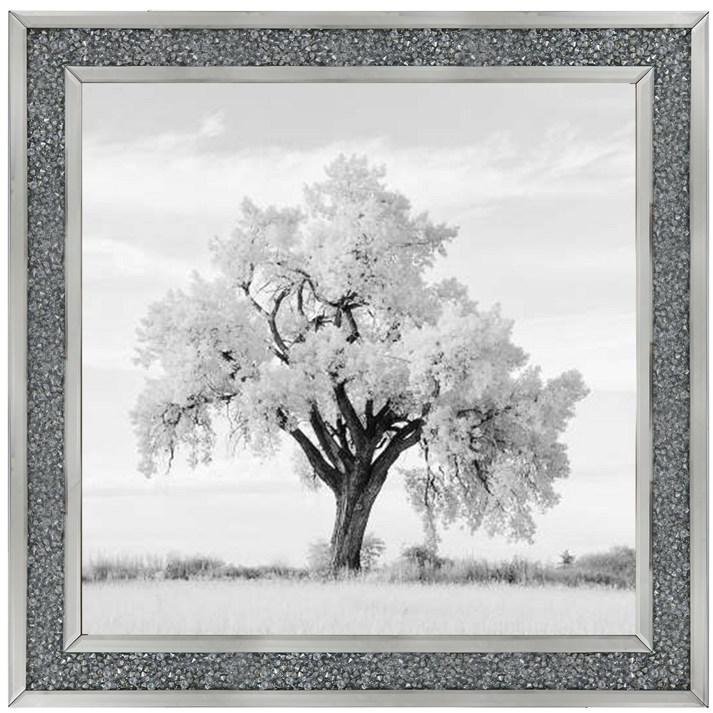 Lone Oak Tree Black White  by Final Touches