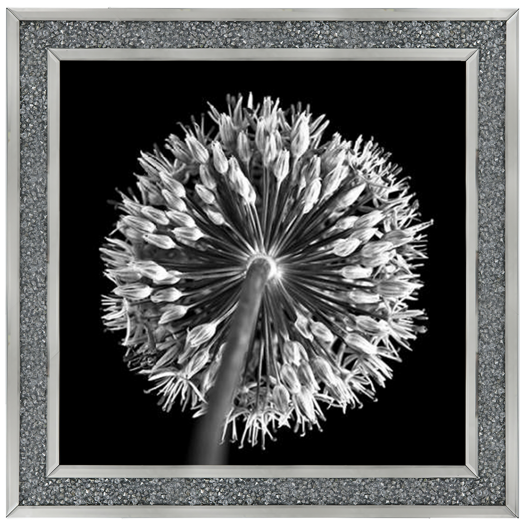 Black Allium 2  by Final Touches