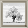 Lone Oak Tree Black White  by Final Touches