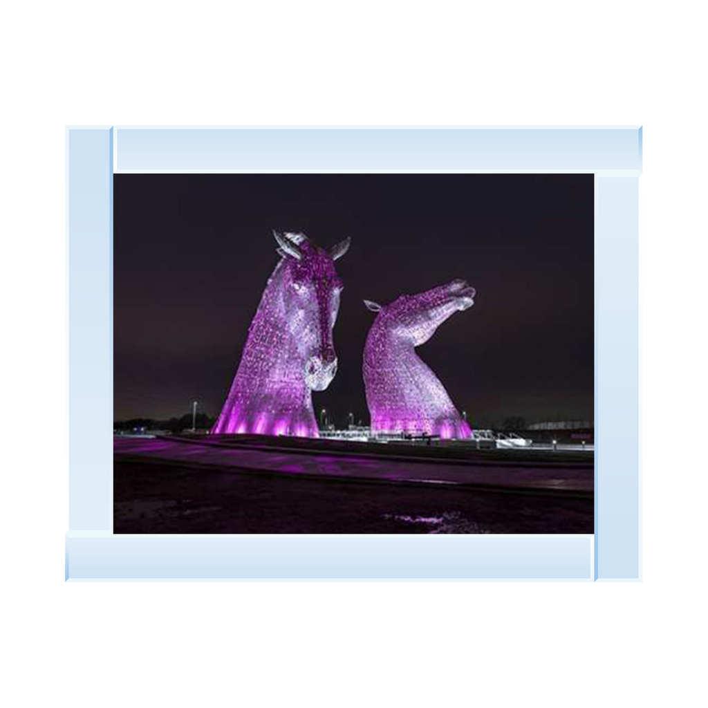 Assaf Frank The Kelpies Picture by Final Touches