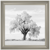 Lone Oak Tree Black White  by Final Touches