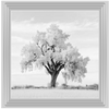 Lone Oak Tree Black White  by Final Touches